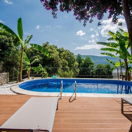 Vila Oliva Herceg Novi Zewnętrze zdjęcie
