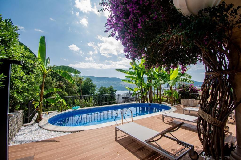 Vila Oliva Herceg Novi Zewnętrze zdjęcie
