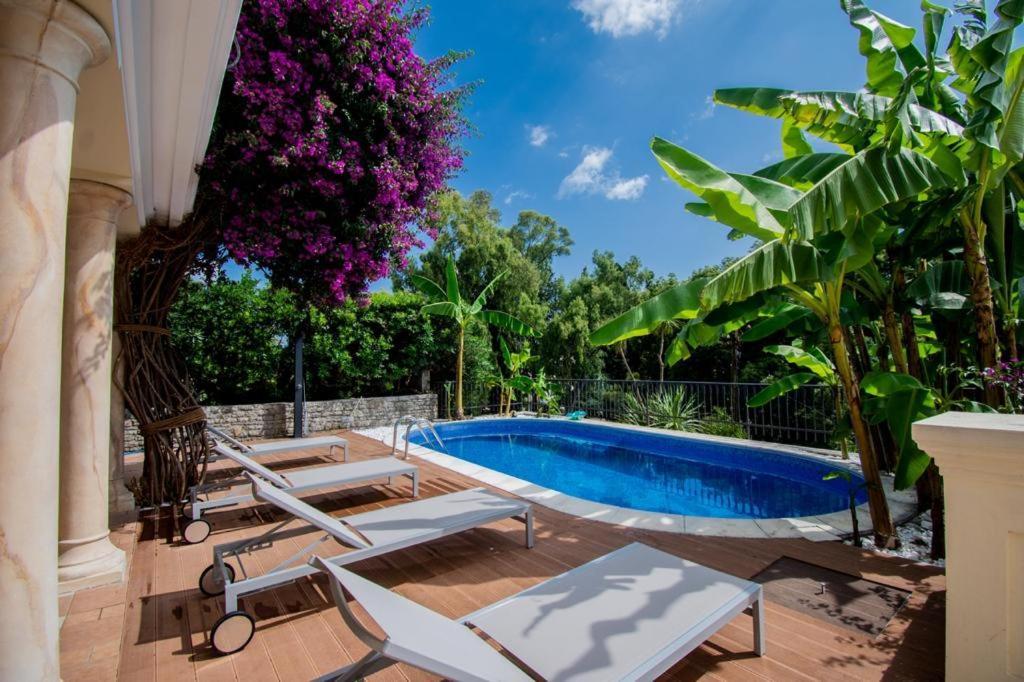Vila Oliva Herceg Novi Zewnętrze zdjęcie