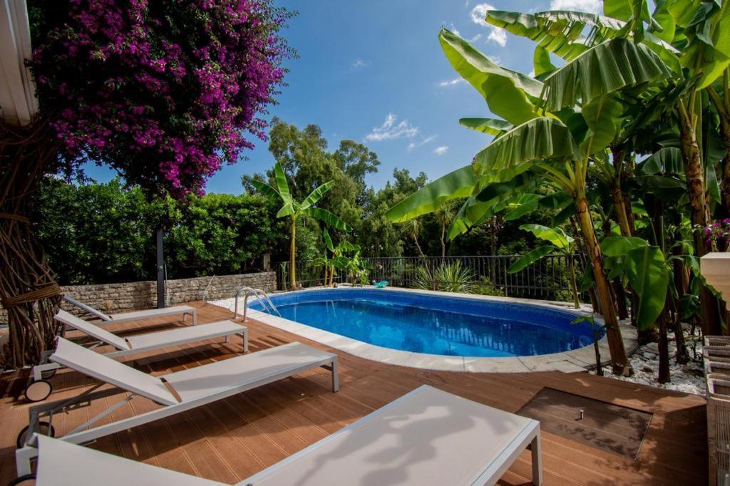 Vila Oliva Herceg Novi Zewnętrze zdjęcie