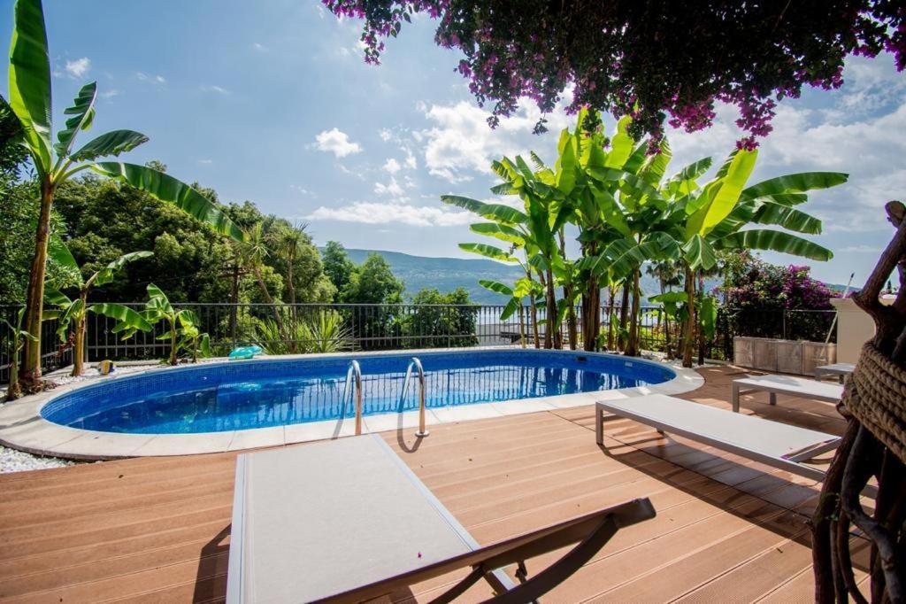 Vila Oliva Herceg Novi Zewnętrze zdjęcie